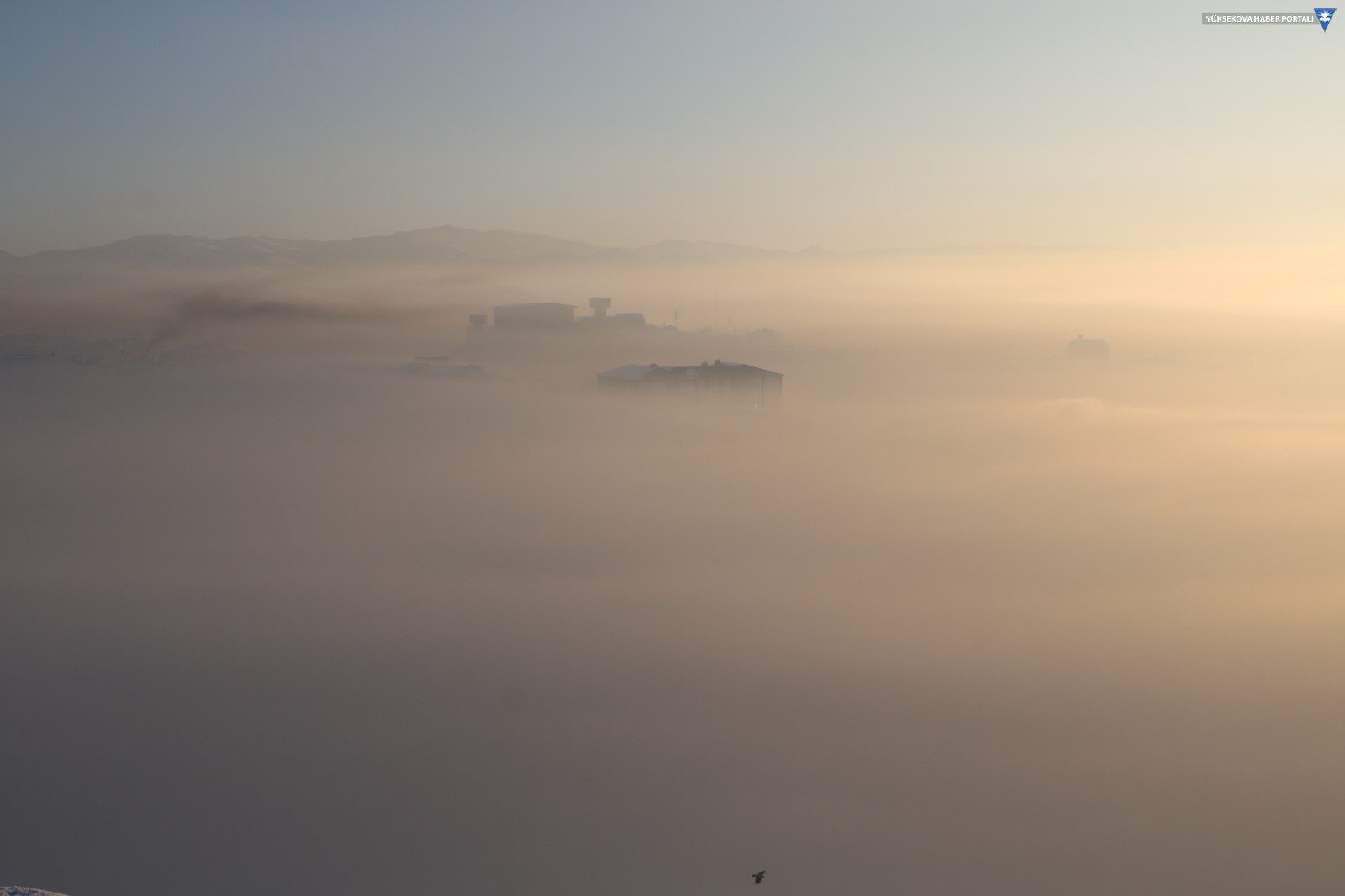 Yüksekova'da yoğun sis hayatı olumsuz etkiliyor