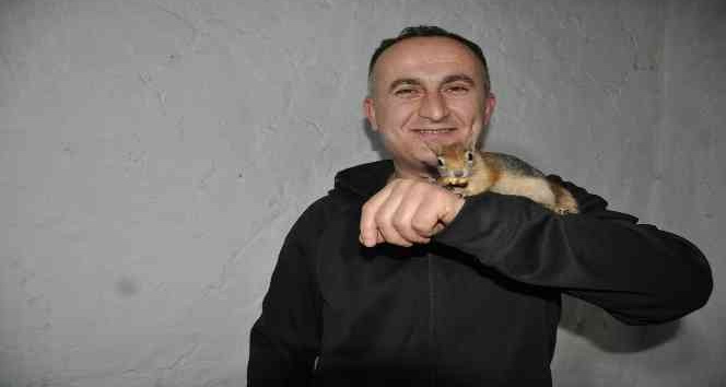 Evinde beslediği sincaba çocuğu gibi bakıyor