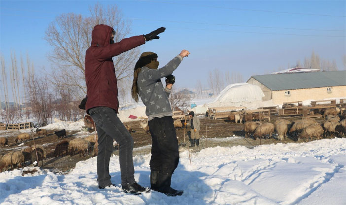 Yüksekova'da besicilerin 'kurt' mesaisi