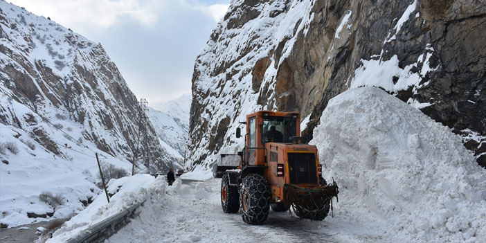 Hakkari-Van kara yolunun 5 noktasına çığ düştü