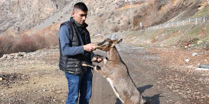 Köyün maskotuna gözü gibi bakıyor