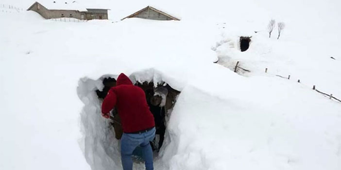 Açtıkları tünellerle ulaşımı sağlıyorlar