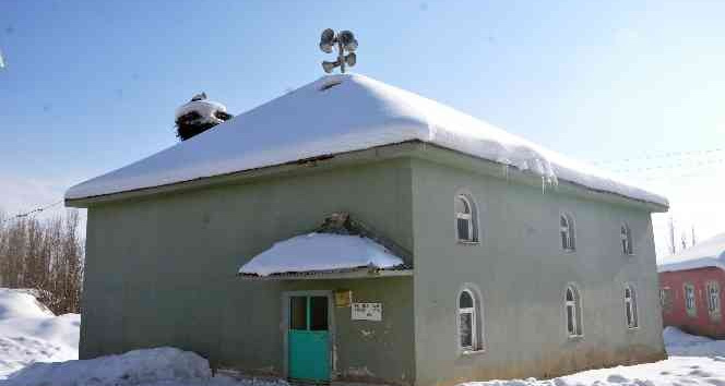 4 yıldır caminin bacasına yaptığı yuvada yaşayan leylek köyün vazgeçilmezi oldu
