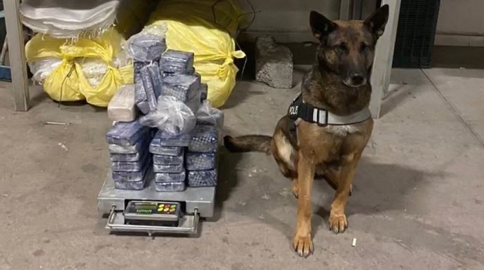 Hakkari ve Şırnak Emniyetinden ortak operasyon