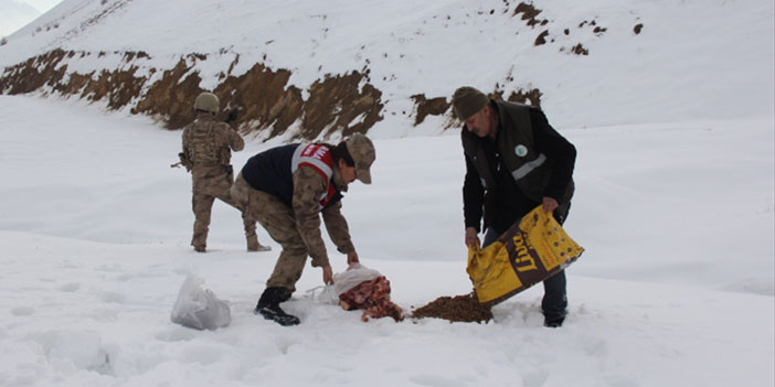 Hakkari'de yaban hayvanları için doğaya yem bırakıldı