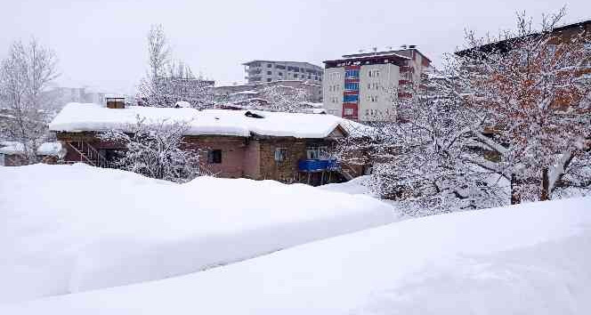 Hakkari'de yollar açıldı