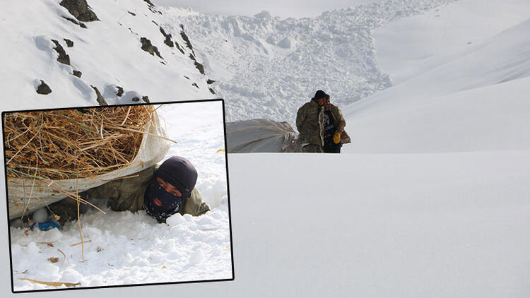 Yüksekova'da besiciler, çığdan kıl payı kurtuldu