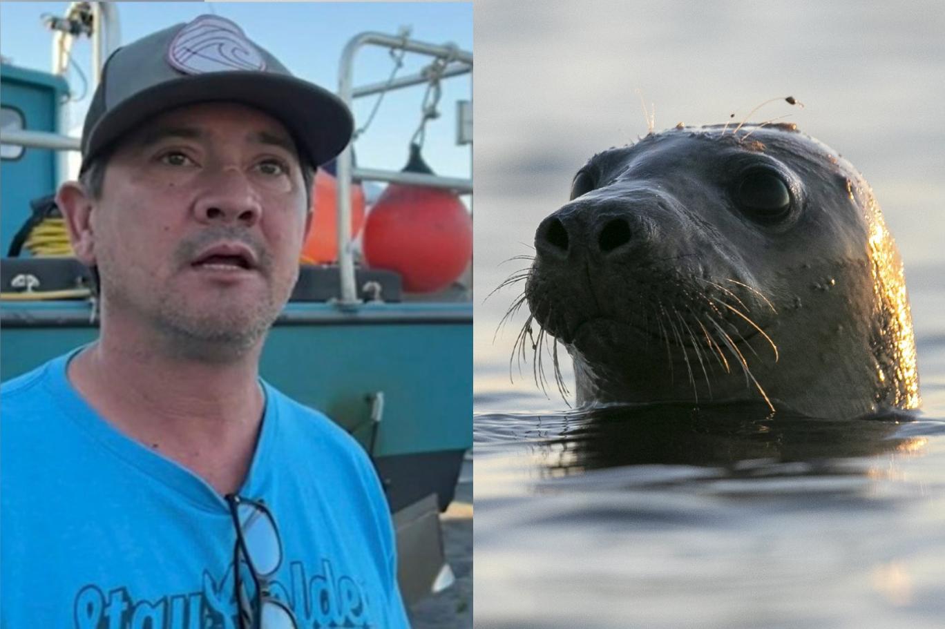 Düştüğü okyanustan fokun yardımıyla 5 saat yüzerek kurtuldu