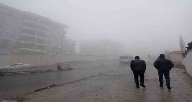 Hakkari'de yoğun sis hayatı olumsuz etkiliyor