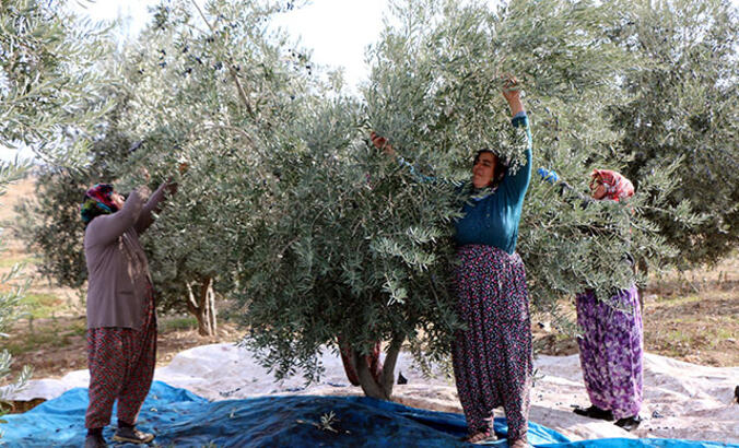 İYİ Parti'den Danıştay'a dava