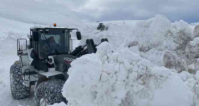 Hakkari'de 10 köy yolu kapalı