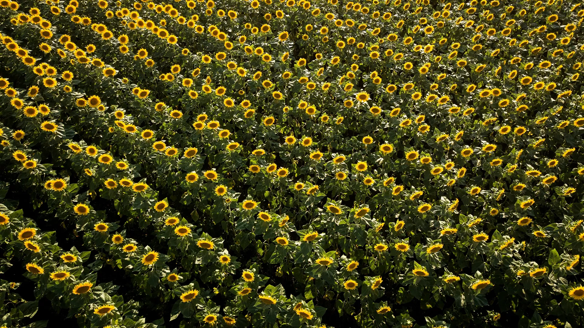 Resmi Gazete'de yayımlandı
