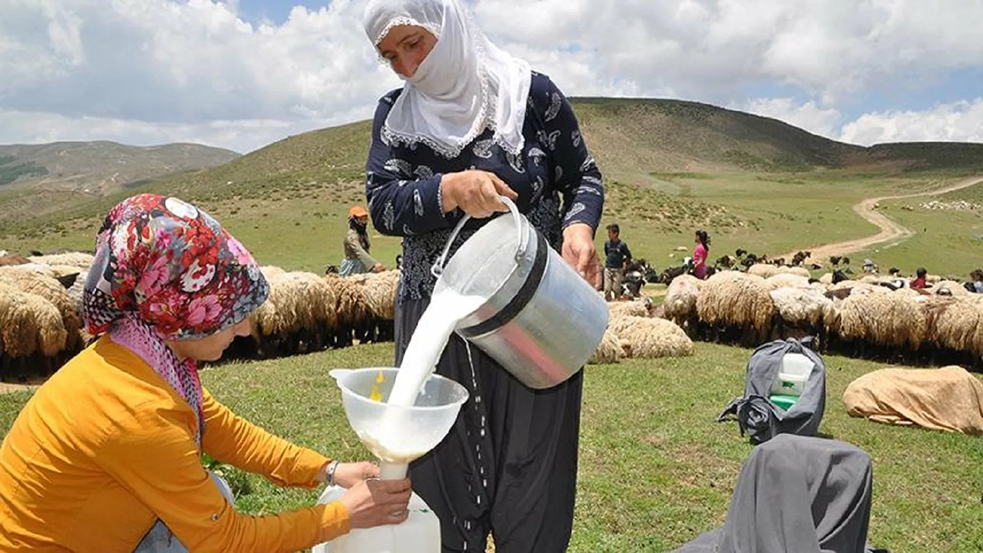 Çiğ süt desteği 1 liraya yükseltildi