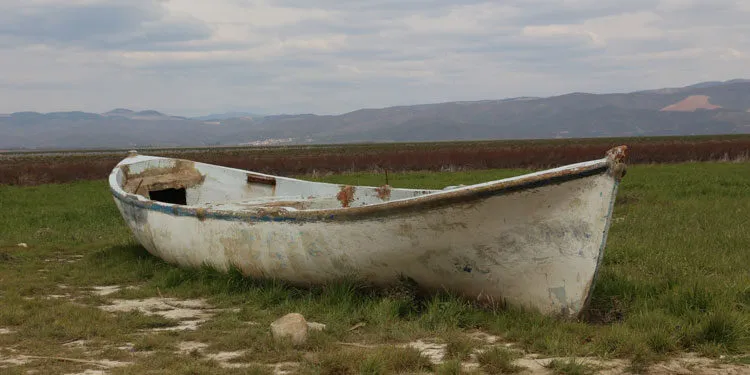 Türkiye’nin ilk iklim davası açıldı