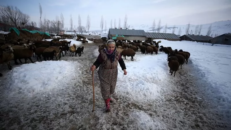 “Türkiye’nin et stoku azalıyor, kırmızı ete en az yüzde 30 zam gelecek”