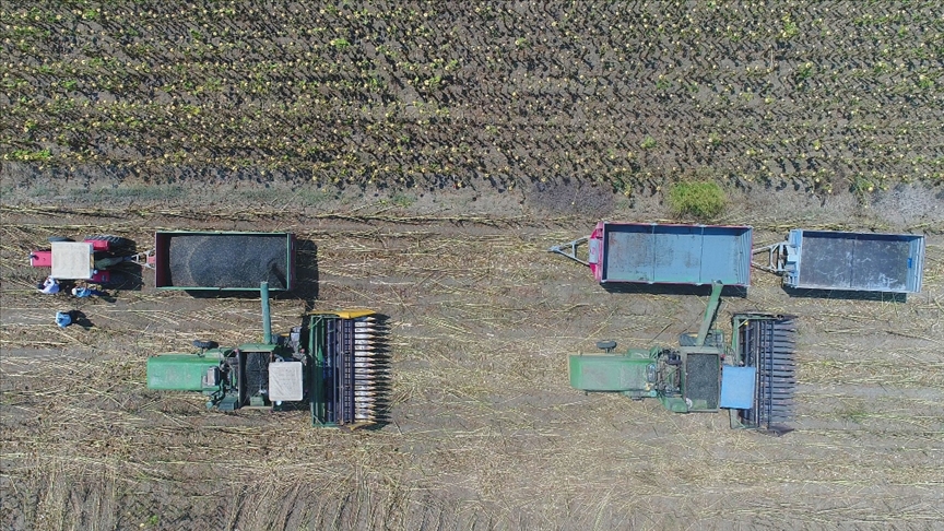 Bakan Kirişci, çiftçilere 291,2 milyon liralık desteği bugün aktaracaklarını bildirdi