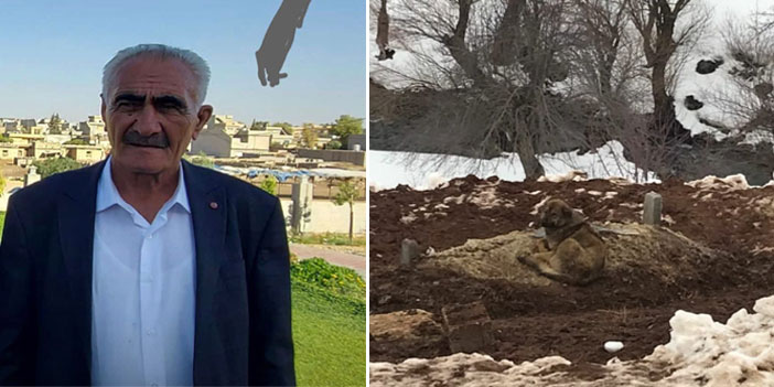 Vefat eden sahibinin mezarından ayrılmıyor