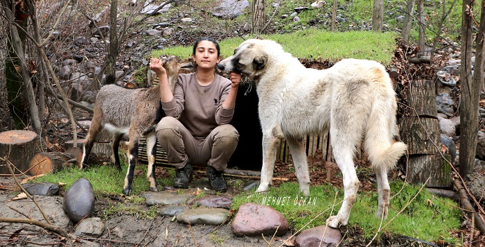 Hakkari'nin ilk kadın Youtuber'ı Cevahir İlhan Doğaya karşı!