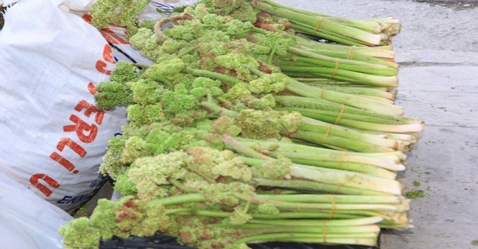 Her derde deva uçkun, tezgahlarda ki yerini aldı