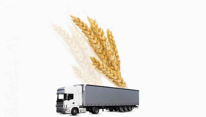 Türkiye buğdayda sıkıntı yaşar mı?