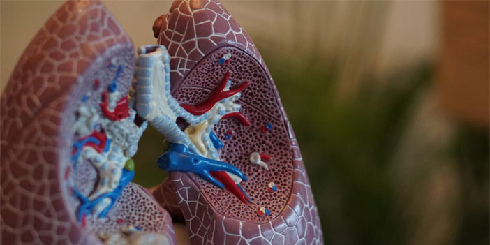 İnsan vücudunda yeni bir hücre keşfedildi