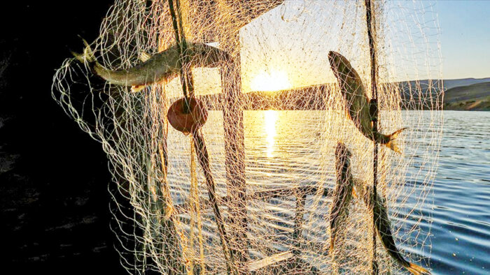 Balıkçılıkta av sezonu bugün kapanıyor