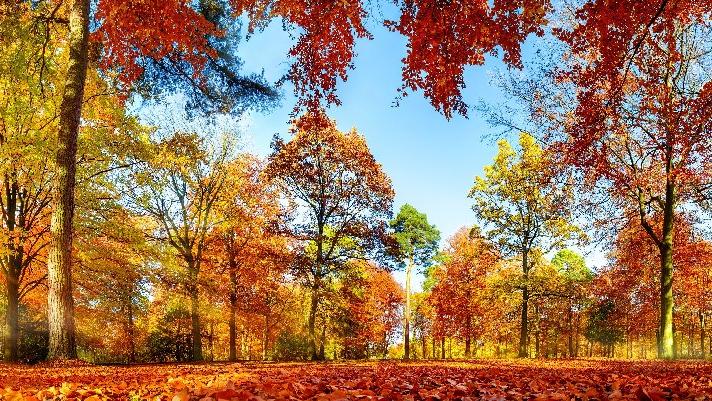 Personel alımı için son gün