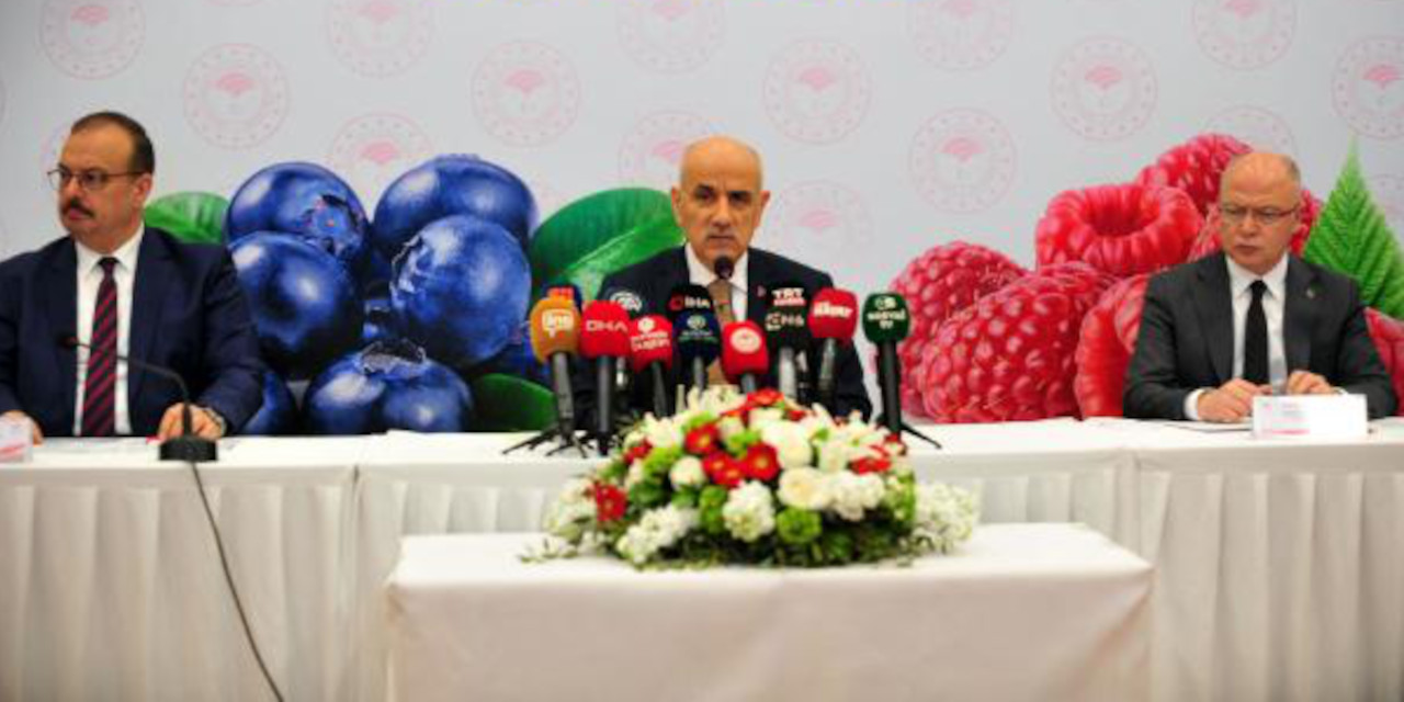 Bakan Kirişçi: Kapak olsun