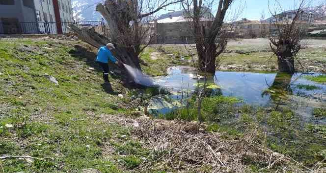 Hakkari'de ilaçlama çalışması başlatıldı