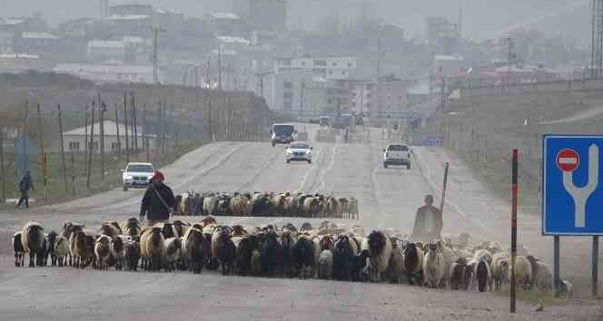 Göçerlerin zorlu yolculuğu başladı