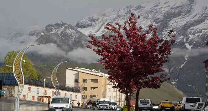 Sümbül Dağı'na kar yağdı