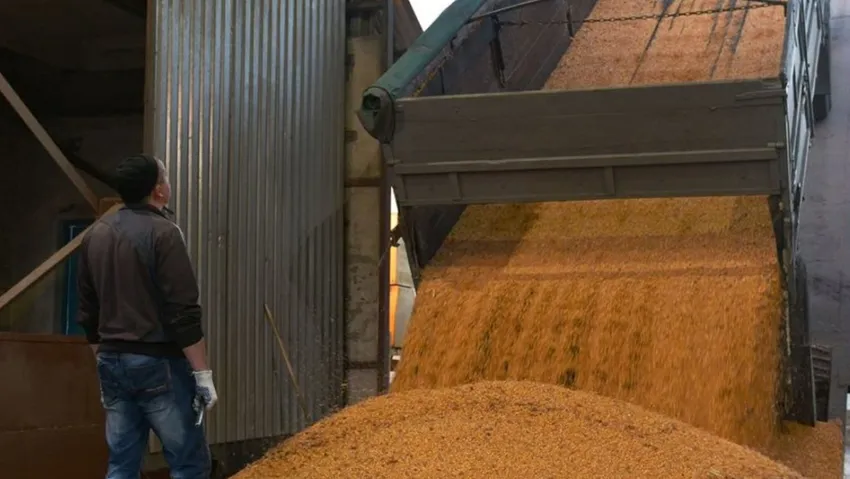 BM'den küresel açlık krizi uyarısı