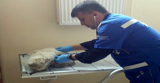 Vatandaş'tan veteriner Cindioğluna Teşekkür mesajı