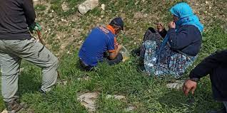 Pancar toplarken ayağı kırıldı