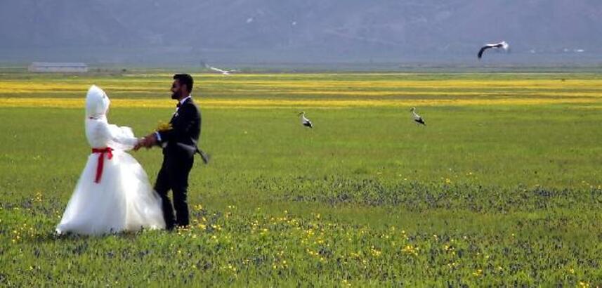 Sarıya bürünen ovada, leyleklerle düğün fotoğrafı çekimi