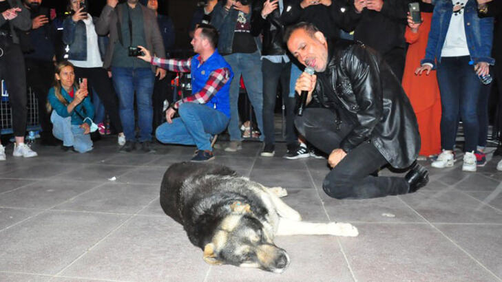 Haluk Levent, sokak köpeğiyle yere uzanarak seslendirdiği şarkılarla hayranlarını coşturdu