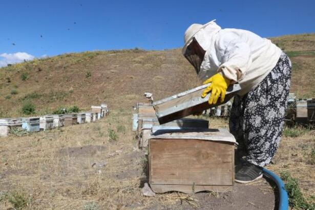 5 kovanla başladı, 20 yıl da 200'e yükseltti