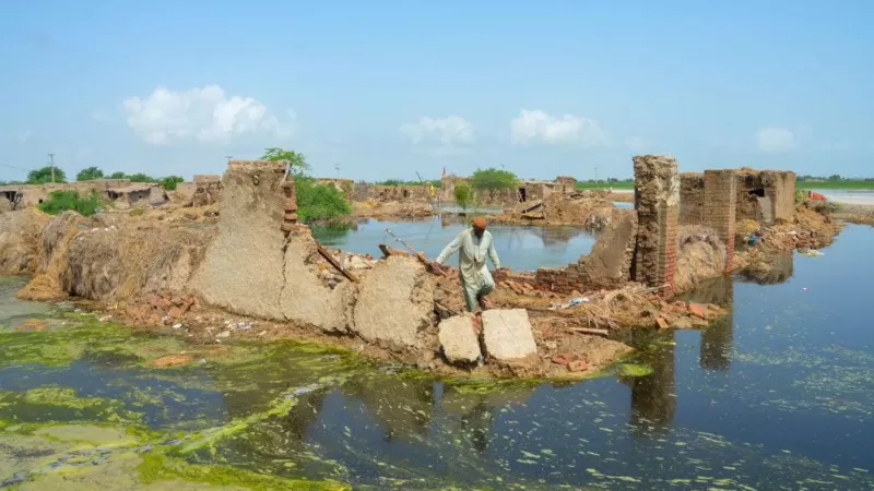 Pakistan'da sel felaketi: 1000 kişi öldü