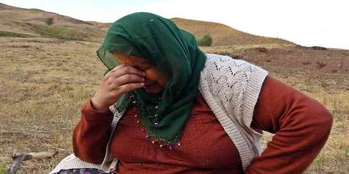 Telef olan ineğinin başında saatlerce hüngür hüngür ağladı