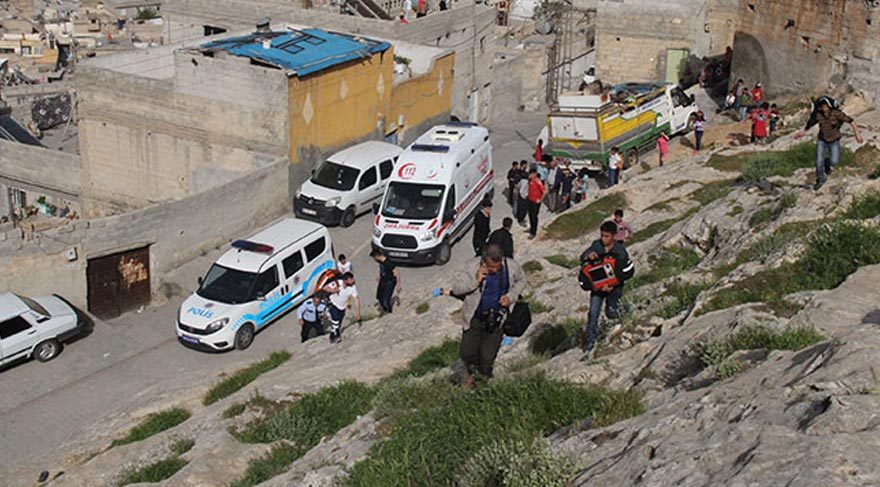 Şanlıurfa'da köpek kavgası: 2 ölü, 1 yaralı