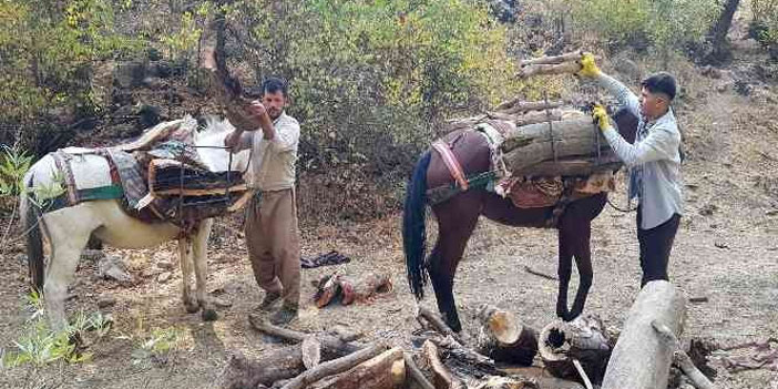 Derecik'te kışlık odun toplama telaşı