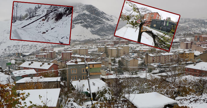 Hakkari'de 155 yerleşim yolu kapandı, yüzlerce ağaç kırıldı, elektrik direkleri devrildi