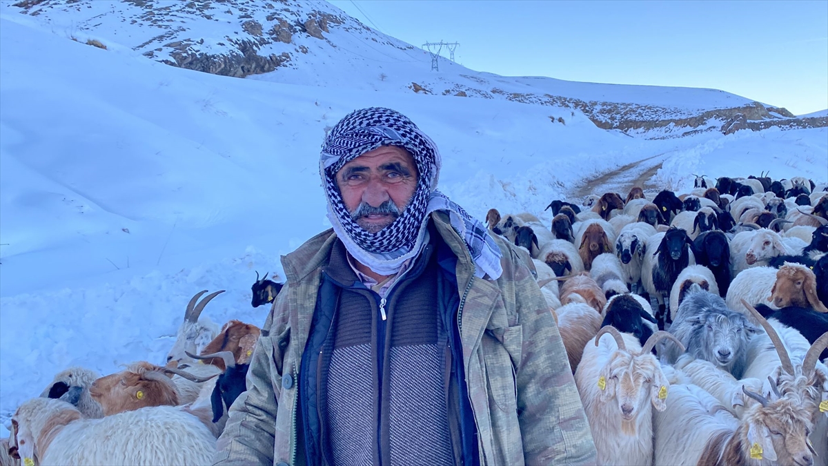 Hakkari'de yolu kapanan köydeki sürü ve çobanlar ekiplerin çalışmasıyla kente ulaştırıldı