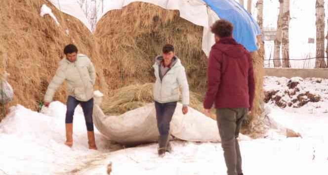 Yüksekova'da zorlu kış