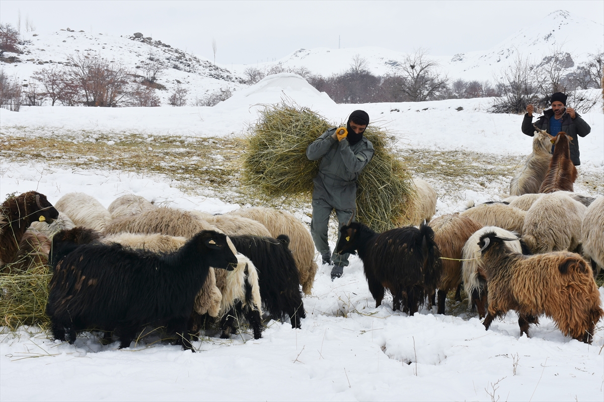 Hakkari'deki besicilerin kış şartlarıyla mücadelesi başladı