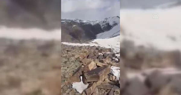 Hakkari'de sürü halinde dağ keçisi görüntülendi