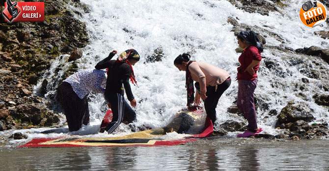 Hakkari’de bahar hazırlıkları: Şelale altında halı yıkadılar