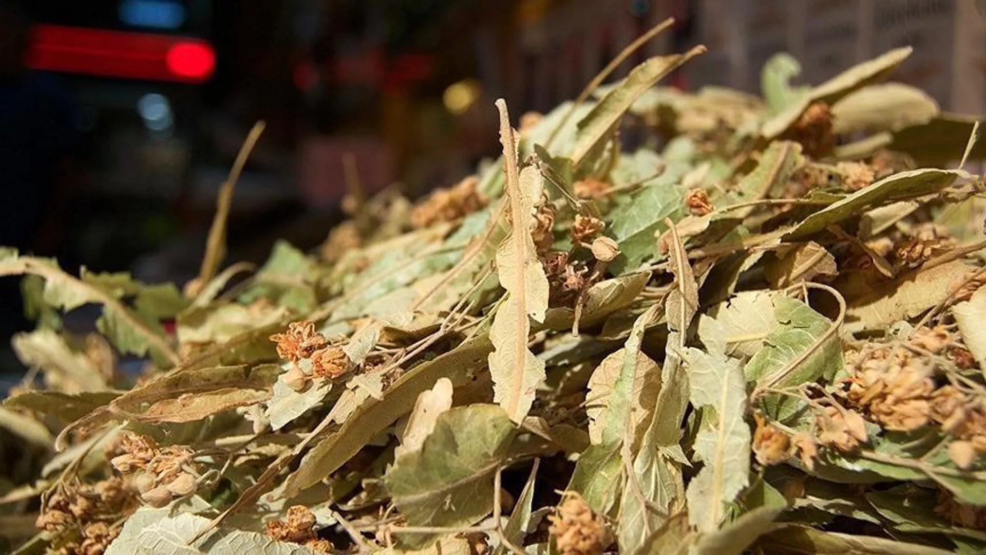 Ihlamurun kilosu 540 lira oldu