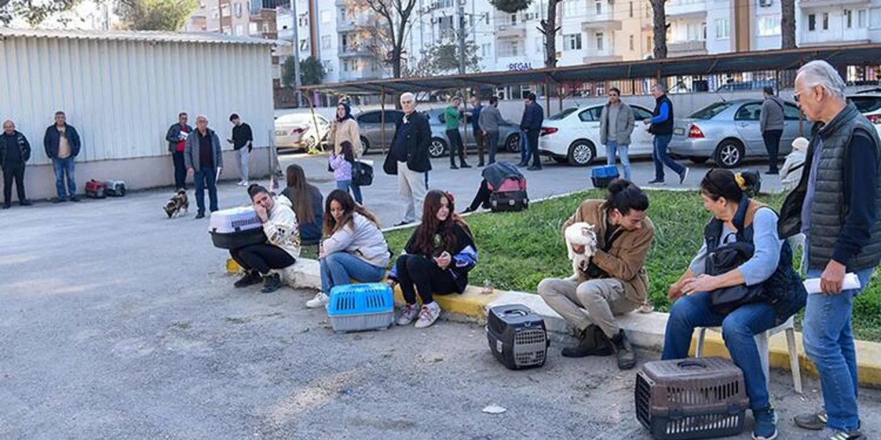 Evcil hayvan sahiplerinin 'çip taktırma’ sırası