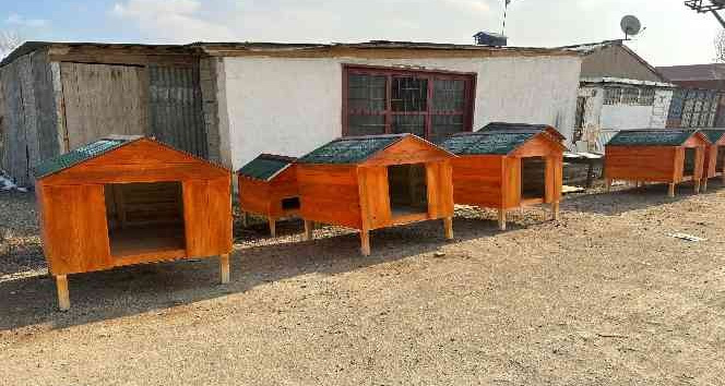 HAYTAP'tan Yüksekova'daki sokak hayvanları için kulübe yardımı
